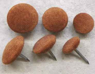 Polsterknöpfe mit Nagel Mikrofaser