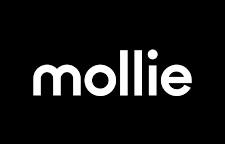 Mollie Zahlungsmethoden